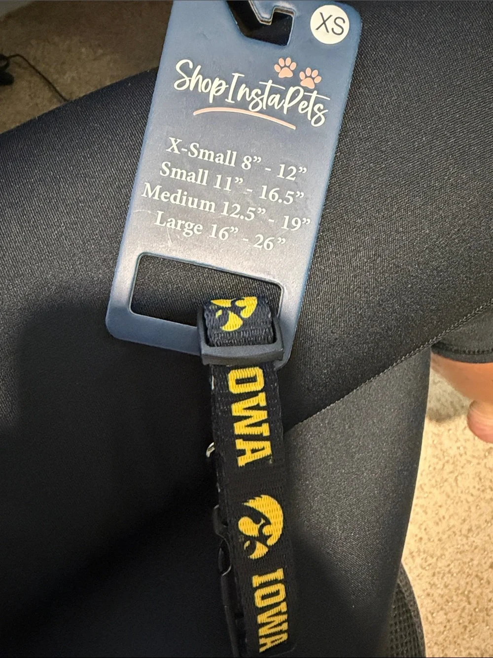 Iowa Hawkeye Dog Collar